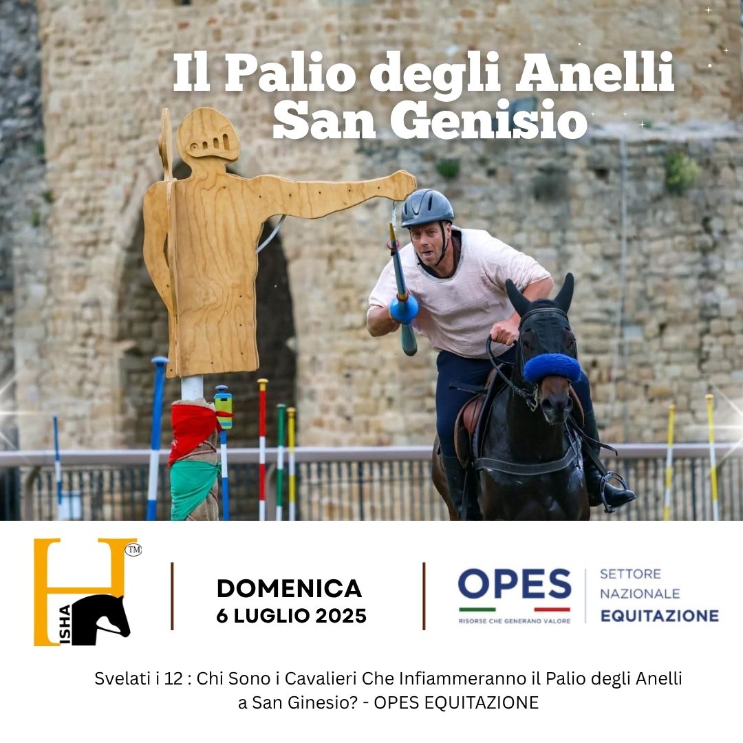 San Ginesio si prepara allo spettacolo! San Ginesio si prepara allo spettacolo!